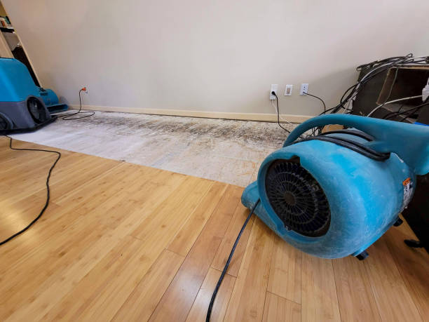 Professional Flood Damage Cleanup technician working in Fairview, OR